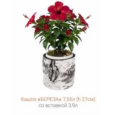 Кашпо-пень "БЕРЕЗА" низкое со вставкой, объем 7.55 л (высота 27 см)