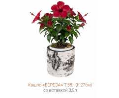 Кашпо-пень "БЕРЕЗА" низкое со вставкой, объем 7.55 л (высота 27 см)