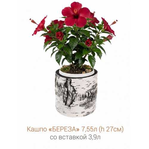 Фото Кашпо-пень "БЕРЕЗА" низкое со вставкой, объем 7.55 л (высота 27 см)