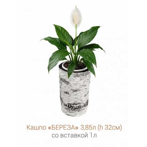 Фото Кашпо-пень "БЕРЕЗА" высокое со вставкой, объем 3.85 л (высота 32 см)
